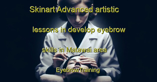 Skinart Advanced artistic lessons in develop eyebrow skills in Matawai area | EyebrowTraining | EyebrowClasses | SkinartTraining-New Zealand