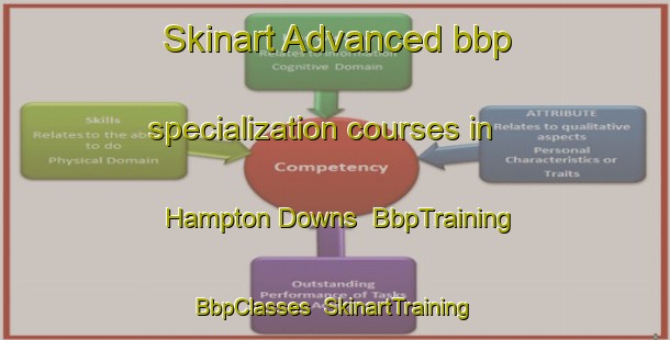 Skinart Advanced bbp specialization courses in Hampton Downs | BbpTraining | BbpClasses | SkinartTraining-New Zealand