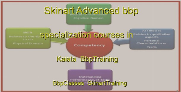 Skinart Advanced bbp specialization courses in Kaiata | BbpTraining | BbpClasses | SkinartTraining-New Zealand
