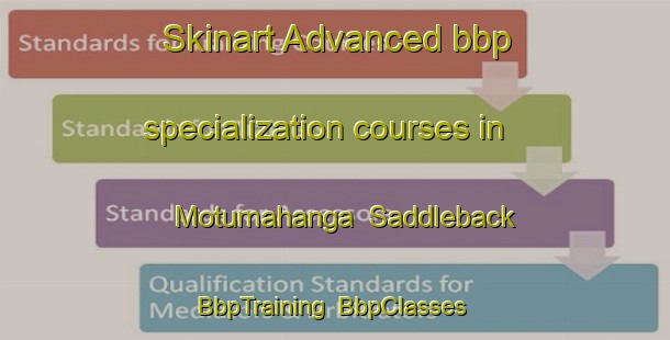 Skinart Advanced bbp specialization courses in Motumahanga  Saddleback | BbpTraining | BbpClasses | SkinartTraining-New Zealand