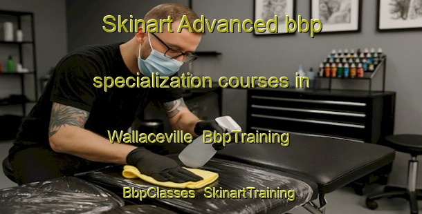 Skinart Advanced bbp specialization courses in Wallaceville | BbpTraining | BbpClasses | SkinartTraining-New Zealand