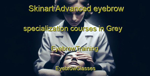 Skinart Advanced eyebrow specialization courses in Grey | EyebrowTraining | EyebrowClasses | SkinartTraining-New Zealand