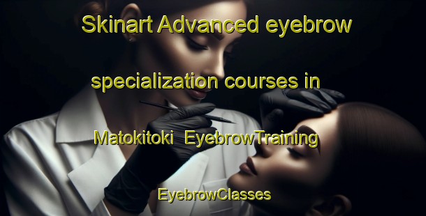 Skinart Advanced eyebrow specialization courses in Matokitoki | EyebrowTraining | EyebrowClasses | SkinartTraining-New Zealand