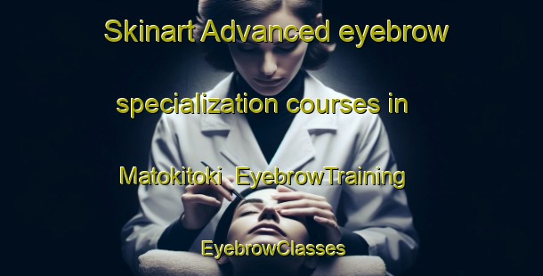 Skinart Advanced eyebrow specialization courses in Matokitoki | EyebrowTraining | EyebrowClasses | SkinartTraining-New Zealand