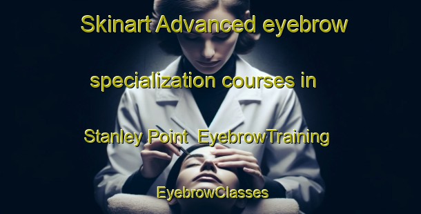 Skinart Advanced eyebrow specialization courses in Stanley Point | EyebrowTraining | EyebrowClasses | SkinartTraining-New Zealand