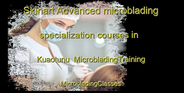 Skinart Advanced microblading specialization courses in Kuaotunu | MicrobladingTraining | MicrobladingClasses | SkinartTraining-New Zealand