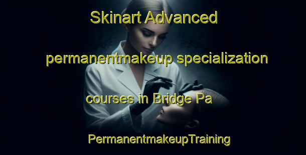 Skinart Advanced permanentmakeup specialization courses in Bridge Pa | #PermanentmakeupTraining #PermanentmakeupClasses #SkinartTraining-New Zealand