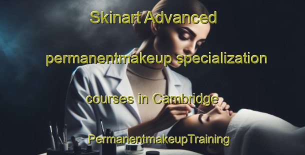 Skinart Advanced permanentmakeup specialization courses in Cambridge | #PermanentmakeupTraining #PermanentmakeupClasses #SkinartTraining-New Zealand