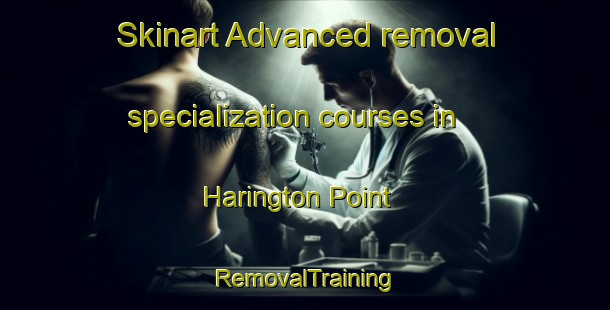 Skinart Advanced removal specialization courses in Harington Point | RemovalTraining | RemovalClasses | SkinartTraining-New Zealand