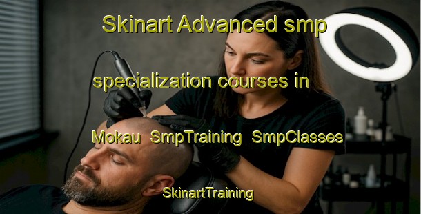 Skinart Advanced smp specialization courses in Mokau | SmpTraining | SmpClasses | SkinartTraining-New Zealand