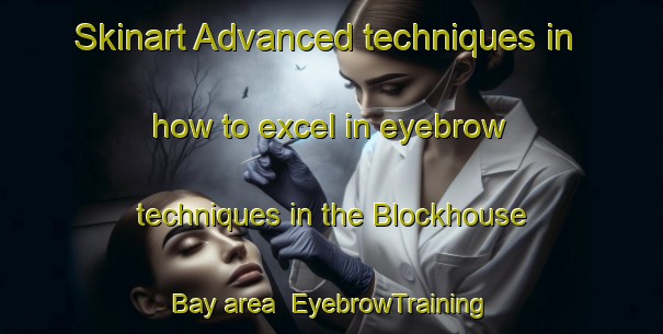 Skinart Advanced techniques in how to excel in eyebrow techniques in the Blockhouse Bay area | EyebrowTraining | EyebrowClasses | SkinartTraining-New Zealand