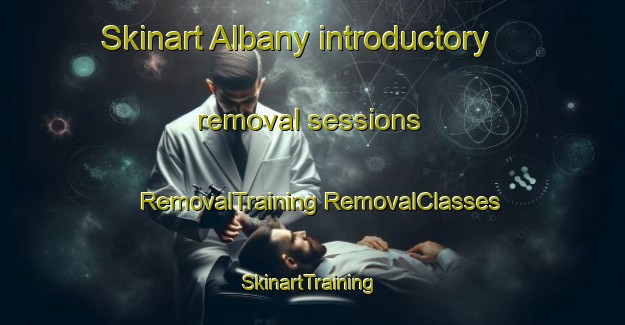 Skinart Albany introductory removal sessions | #RemovalTraining #RemovalClasses #SkinartTraining-New Zealand