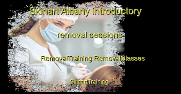 Skinart Albany introductory removal sessions | #RemovalTraining #RemovalClasses #SkinartTraining-New Zealand