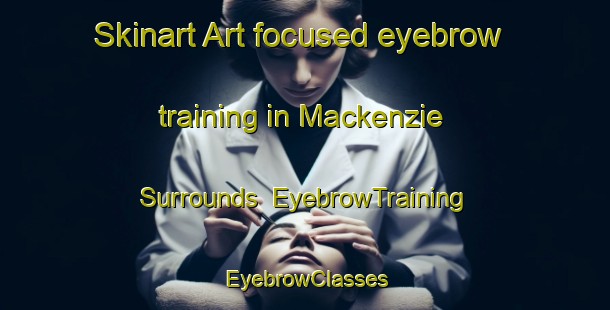 Skinart Art-focused eyebrow training in Mackenzie Surrounds | EyebrowTraining | EyebrowClasses | SkinartTraining-New Zealand
