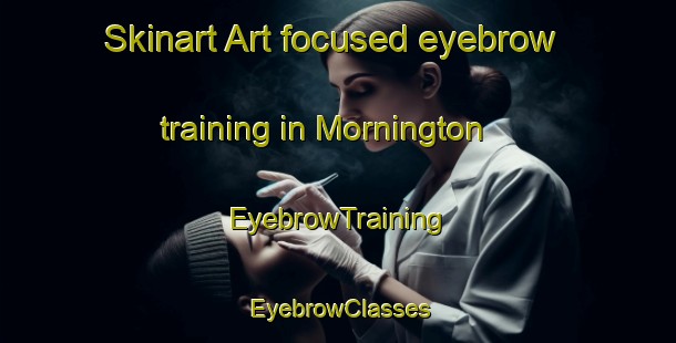 Skinart Art-focused eyebrow training in Mornington | EyebrowTraining | EyebrowClasses | SkinartTraining-New Zealand