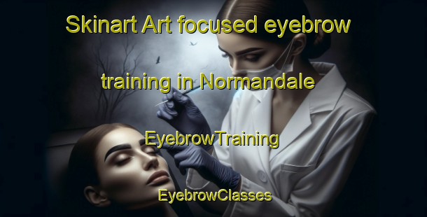 Skinart Art-focused eyebrow training in Normandale | EyebrowTraining | EyebrowClasses | SkinartTraining-New Zealand
