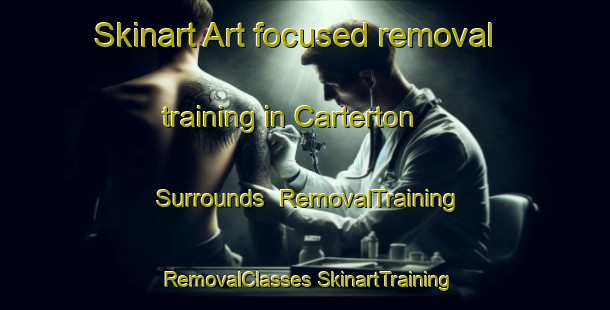 Skinart Art-focused removal training in Carterton Surrounds | #RemovalTraining #RemovalClasses #SkinartTraining-New Zealand