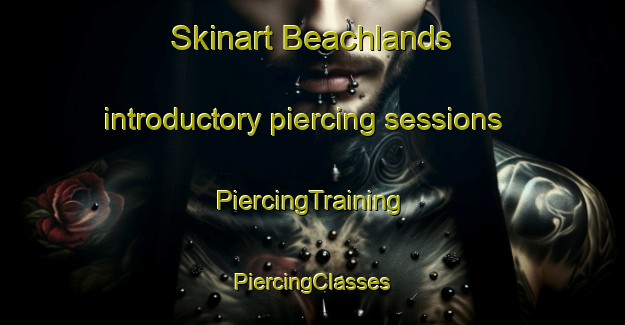 Skinart Beachlands introductory piercing sessions | #PiercingTraining #PiercingClasses #SkinartTraining-New Zealand