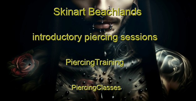 Skinart Beachlands introductory piercing sessions | PiercingTraining | PiercingClasses | SkinartTraining-New Zealand