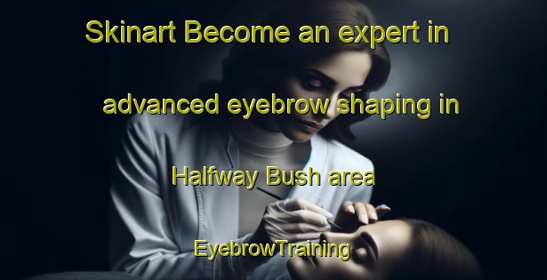 Skinart Become an expert in advanced eyebrow shaping in Halfway Bush area | EyebrowTraining | EyebrowClasses | SkinartTraining-New Zealand
