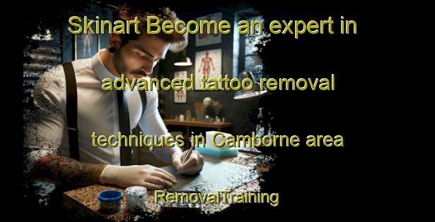 Skinart Become an expert in advanced tattoo removal techniques in Camborne area | RemovalTraining | RemovalClasses | SkinartTraining-New Zealand