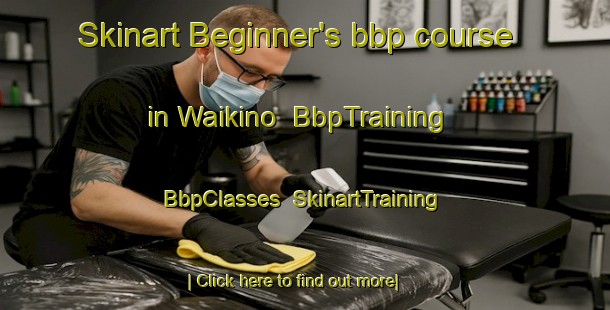 Skinart Beginner's bbp course in Waikino | BbpTraining | BbpClasses | SkinartTraining-New Zealand