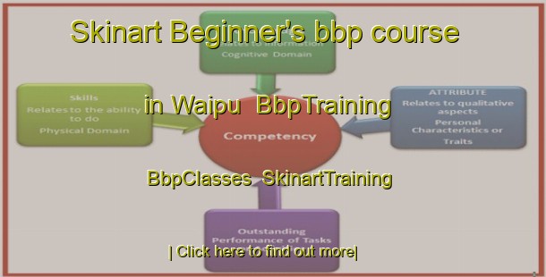Skinart Beginner's bbp course in Waipu | BbpTraining | BbpClasses | SkinartTraining-New Zealand