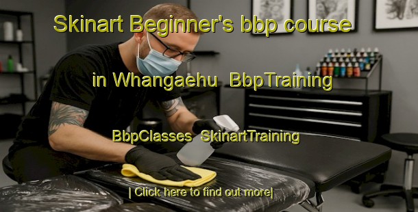 Skinart Beginner's bbp course in Whangaehu | BbpTraining | BbpClasses | SkinartTraining-New Zealand