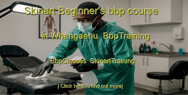 Skinart Beginner's bbp course in Whangaehu | BbpTraining | BbpClasses | SkinartTraining-New Zealand