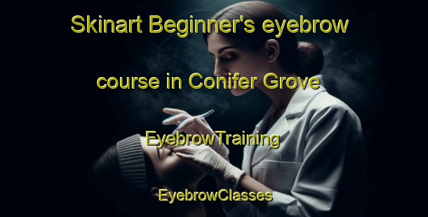 Skinart Beginner's eyebrow course in Conifer Grove | EyebrowTraining | EyebrowClasses | SkinartTraining-New Zealand