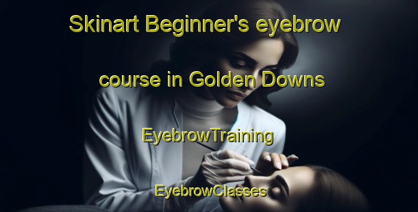 Skinart Beginner's eyebrow course in Golden Downs | EyebrowTraining | EyebrowClasses | SkinartTraining-New Zealand