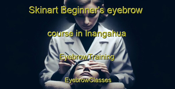 Skinart Beginner's eyebrow course in Inangahua | EyebrowTraining | EyebrowClasses | SkinartTraining-New Zealand