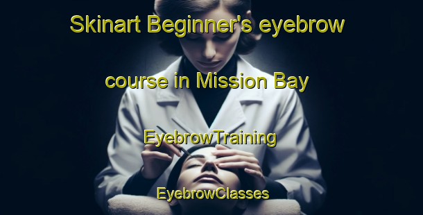 Skinart Beginner's eyebrow course in Mission Bay | EyebrowTraining | EyebrowClasses | SkinartTraining-New Zealand