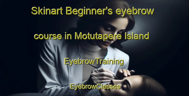 Skinart Beginner's eyebrow course in Motutapere Island | EyebrowTraining | EyebrowClasses | SkinartTraining-New Zealand