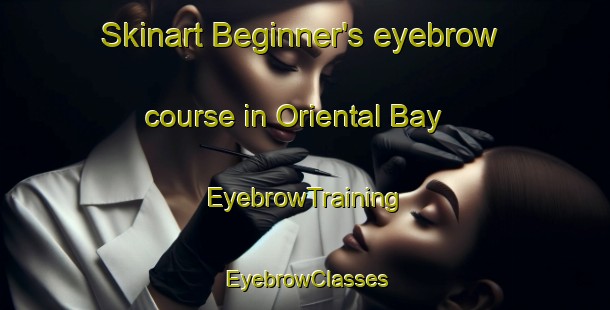 Skinart Beginner's eyebrow course in Oriental Bay | EyebrowTraining | EyebrowClasses | SkinartTraining-New Zealand