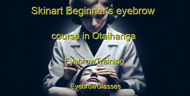 Skinart Beginner's eyebrow course in Otaihanga | EyebrowTraining | EyebrowClasses | SkinartTraining-New Zealand
