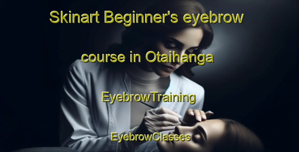 Skinart Beginner's eyebrow course in Otaihanga | EyebrowTraining | EyebrowClasses | SkinartTraining-New Zealand