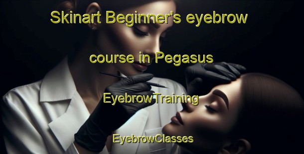 Skinart Beginner's eyebrow course in Pegasus | EyebrowTraining | EyebrowClasses | SkinartTraining-New Zealand
