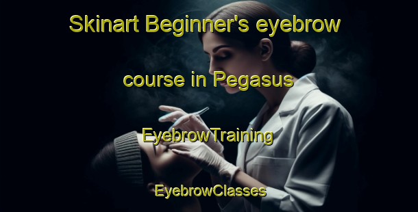 Skinart Beginner's eyebrow course in Pegasus | EyebrowTraining | EyebrowClasses | SkinartTraining-New Zealand