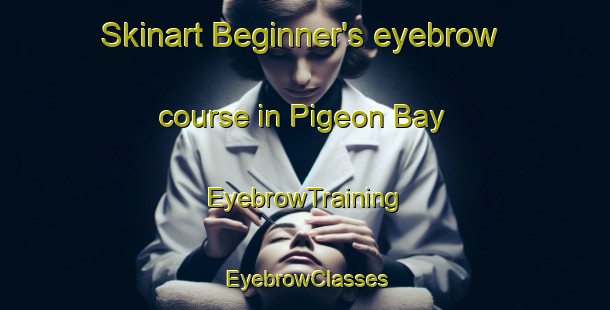 Skinart Beginner's eyebrow course in Pigeon Bay | EyebrowTraining | EyebrowClasses | SkinartTraining-New Zealand
