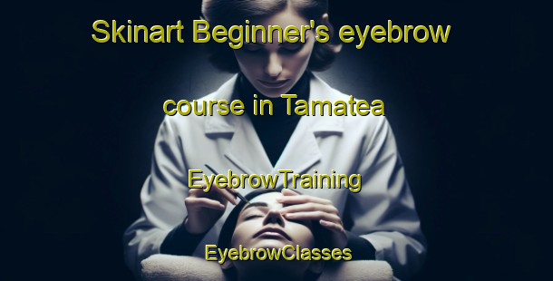 Skinart Beginner's eyebrow course in Tamatea | EyebrowTraining | EyebrowClasses | SkinartTraining-New Zealand
