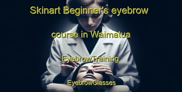 Skinart Beginner's eyebrow course in Waimatua | EyebrowTraining | EyebrowClasses | SkinartTraining-New Zealand
