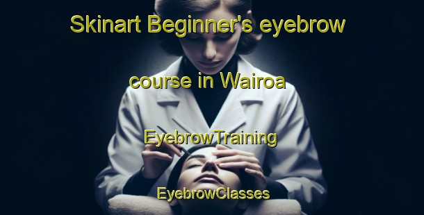 Skinart Beginner's eyebrow course in Wairoa | EyebrowTraining | EyebrowClasses | SkinartTraining-New Zealand