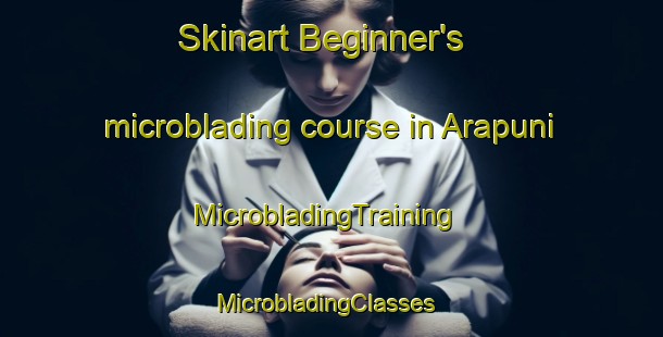 Skinart Beginner's microblading course in Arapuni | MicrobladingTraining | MicrobladingClasses | SkinartTraining-New Zealand