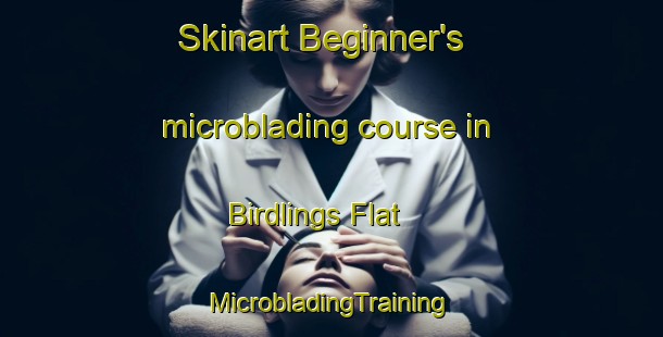 Skinart Beginner's microblading course in Birdlings Flat | #MicrobladingTraining #MicrobladingClasses #SkinartTraining-New Zealand