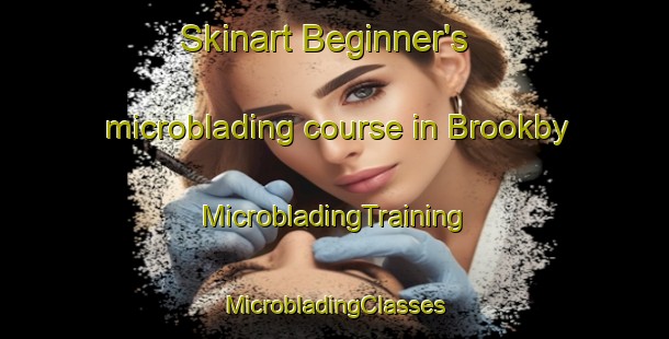 Skinart Beginner's microblading course in Brookby | #MicrobladingTraining #MicrobladingClasses #SkinartTraining-New Zealand