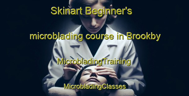 Skinart Beginner's microblading course in Brookby | #MicrobladingTraining #MicrobladingClasses #SkinartTraining-New Zealand