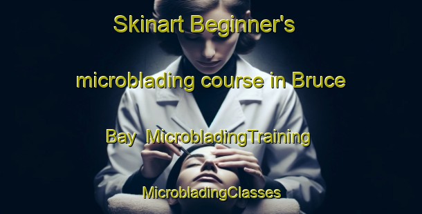 Skinart Beginner's microblading course in Bruce Bay | #MicrobladingTraining #MicrobladingClasses #SkinartTraining-New Zealand