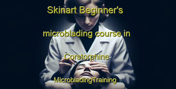 Skinart Beginner's microblading course in Corstorphine | MicrobladingTraining | MicrobladingClasses | SkinartTraining-New Zealand