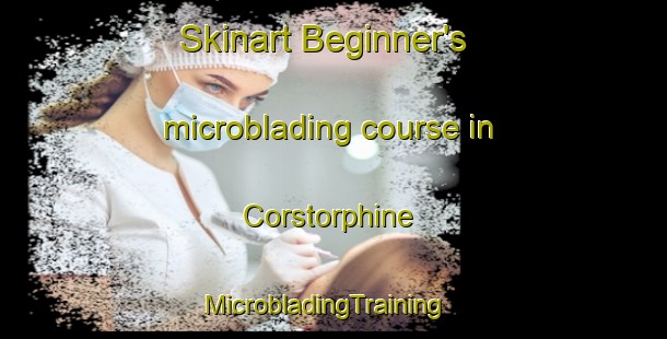 Skinart Beginner's microblading course in Corstorphine | MicrobladingTraining | MicrobladingClasses | SkinartTraining-New Zealand